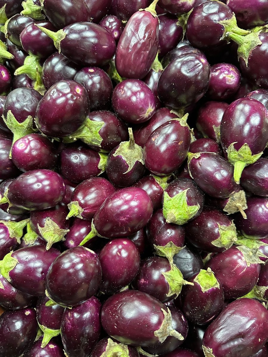 باذنجان